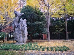-华东师范大学第二附属中学(张江校区)
