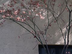 -颐和路民国时期公馆风貌区
