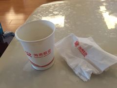 -海南海航航空信息系统公司