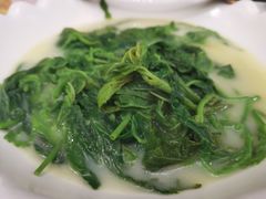 -五谷芳乳鸽王（大梅沙总店C区）(网红打卡店)