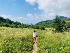 -白草畔自然风景区