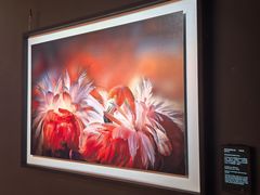 -罗红摄影艺术馆