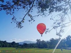 -中国科学院西双版纳热带植物园