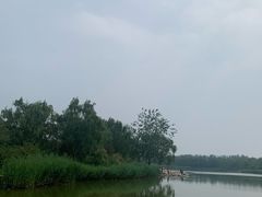 -大兴滨河森林公园