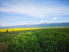 -青海湖国家重点风景名胜区