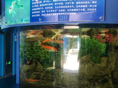 -厦门海底世界