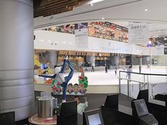 -TheRink大零溜冰场(IFS国金中心店)