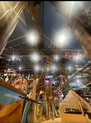 -卡通尼·Safari非洲探索乐园·生日会(金桥国际商业广场店)