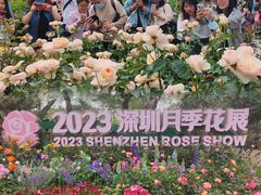 -人民公园(罗湖区)