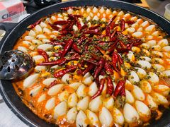 -水哥卜卜贝(东晓·胜汇里店)