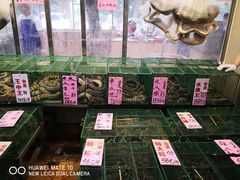 水产区-荔城生鲜盛宴(番禺旗舰店)