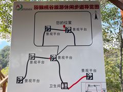 -大岭沟猕猴桃谷风景区
