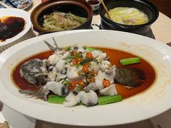 -侨美食家·粤菜(体育西路店)
