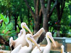 -常州淹城野生动物世界