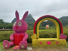 -靖西鹅泉风景区