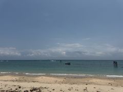-东郊椰林