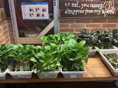 -永安鱼庄·镇江菜(三店纬五路店)