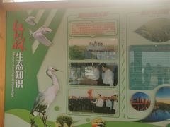 -北海金海湾红树林生态旅游区