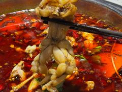 -蛙蛙鸡冷锅鱼(驷马桥店)