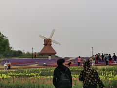 -杭州湾海上花田景区