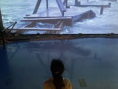 -贝林大翅鲸简餐厅(国家海洋博物馆店)