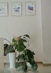 -Dr.林醫生产后修复·配方产康店(南京大厂店)