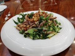 鲜沙姜捞猪肚-美极鲜食坊(宝安南路店)