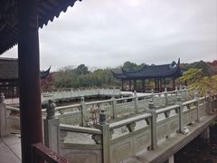 -上海海湾国家森林公园