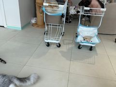 -怪兽屋·羊驼·猫咖·狗咖(俊华广场店)