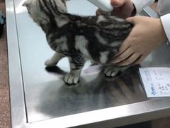 -北京博爱动物医院有限公司