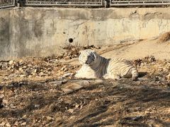 -石家庄市动物园