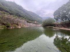 -芦茨金富饭庄·25年老字号·专做稻草鸡