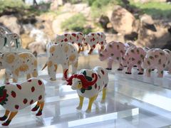 -罗红摄影艺术馆