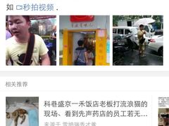 盛京一禾-盛京一禾