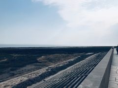 -南汇嘴观海公园