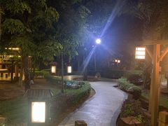 -罗浮山嘉宝田森林温泉度假酒店