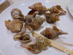 小角螺-抱德·潮汕味(敦和店原惠城鱼仔)
