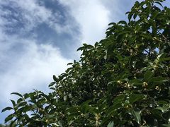 -杭州少年儿童公园