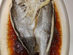 -马白开来特色羊排揪片子  (总店)