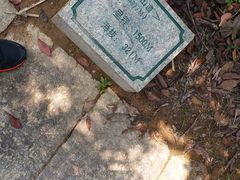 -梧桐山风景名胜区