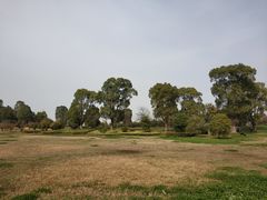 -漕湖湿地公园