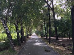 -黑龙江省森林植物园