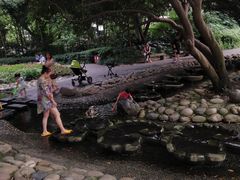 -成都市活水公园