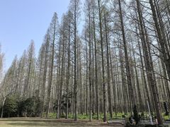 -上海怡沁园度假酒店