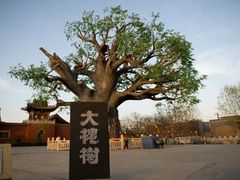 -大槐树寻根祭祖园