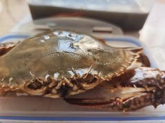 -芦潮港集贸市场