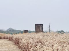 -良渚古城遗址公园