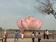 -白洋淀景区