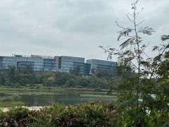 -华侨城湿地公园