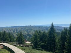 -苏木山森林公园